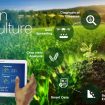 iot-agriculture-1